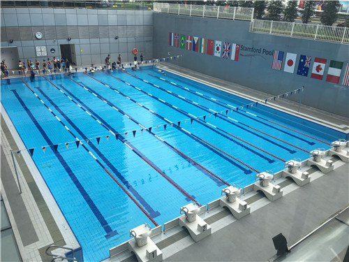  电竞青训体系完善输送优质后备力量  